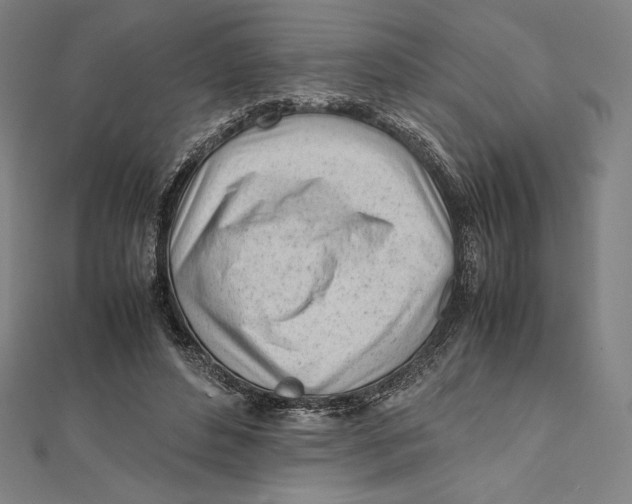 X0000112040496200908311239