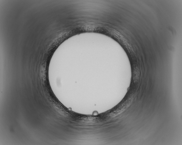 X0000112040497200908311239