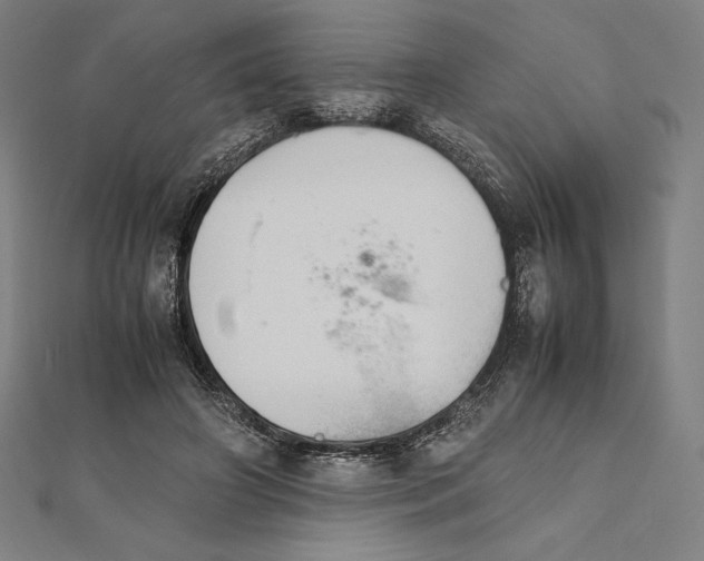 X0000112040498200908311239