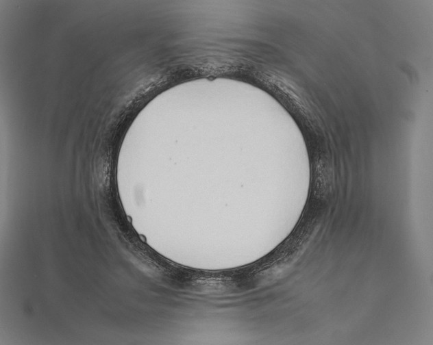 X0000112040499200908311239