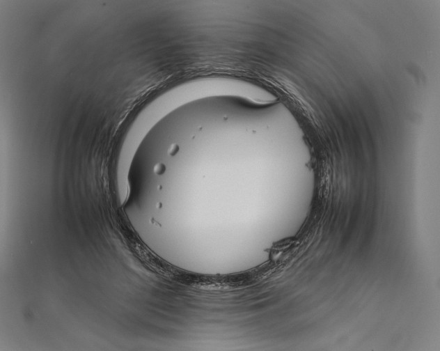 X0000112040500200908311239