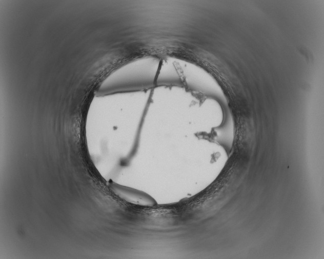 X0000112040501200908311239