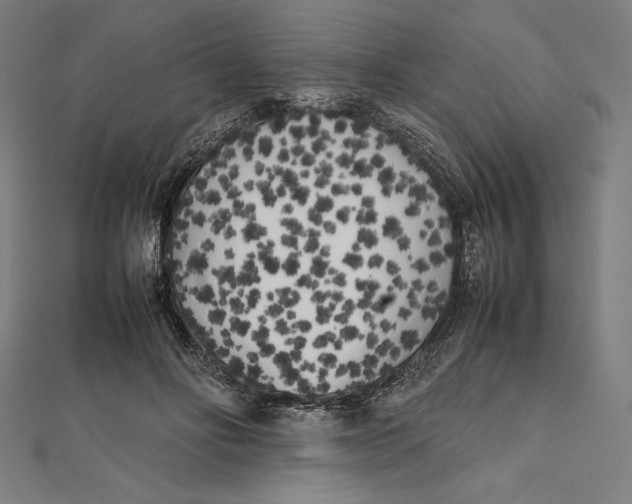 X0000112040502200908311239