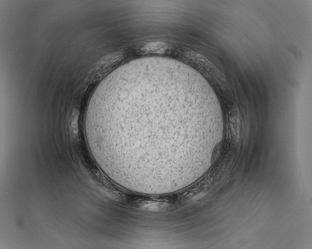 X0000112040504200908311239