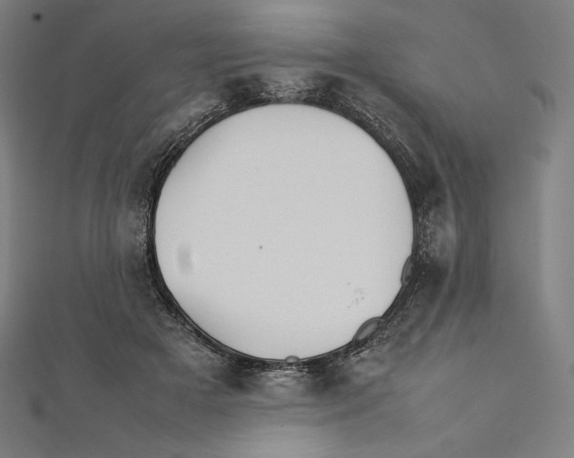 X0000112040505200908311239