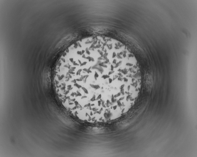 X0000112040506200908311239