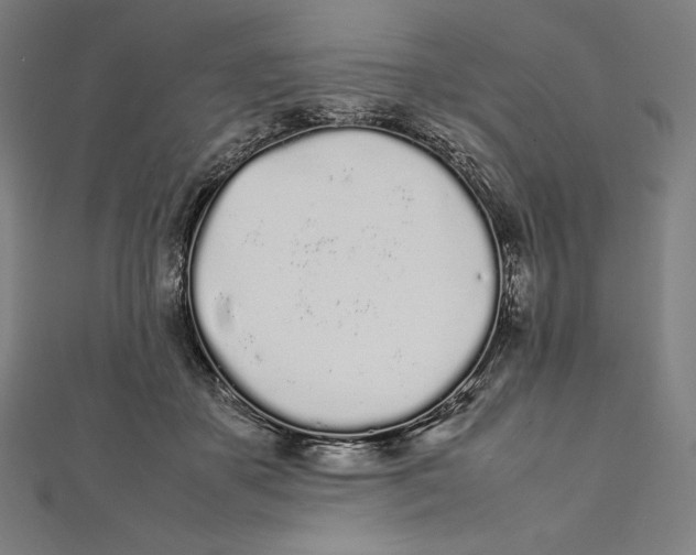 X0000112040507200908311239