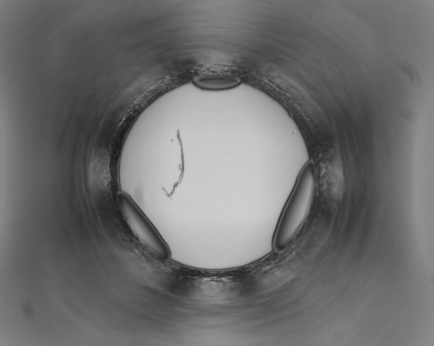 X0000112040508200908311239