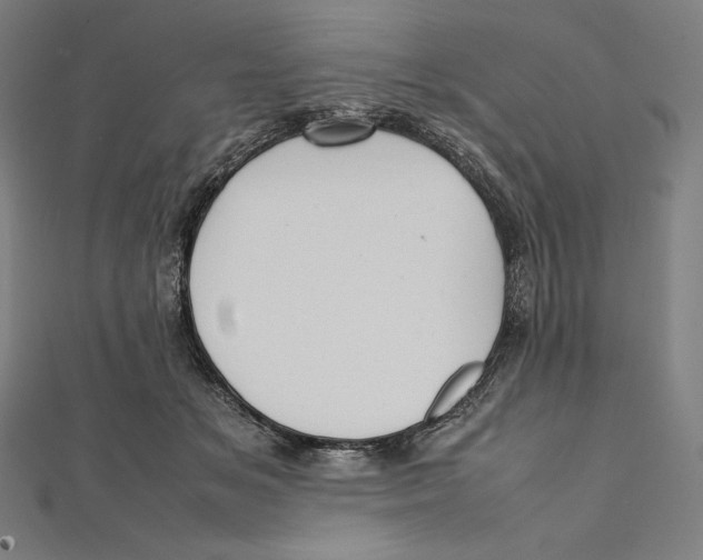 X0000112040509200908311239