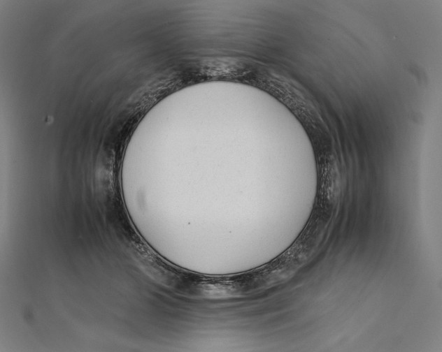 X0000112040510200908311239