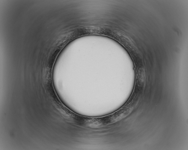 X0000112040511200908311239