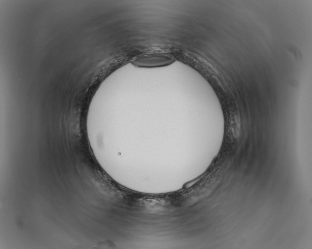 X0000112040512200908311239