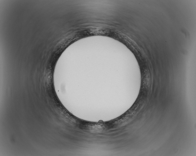 X0000112040513200908311239