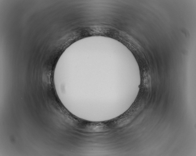 X0000112040514200908311239