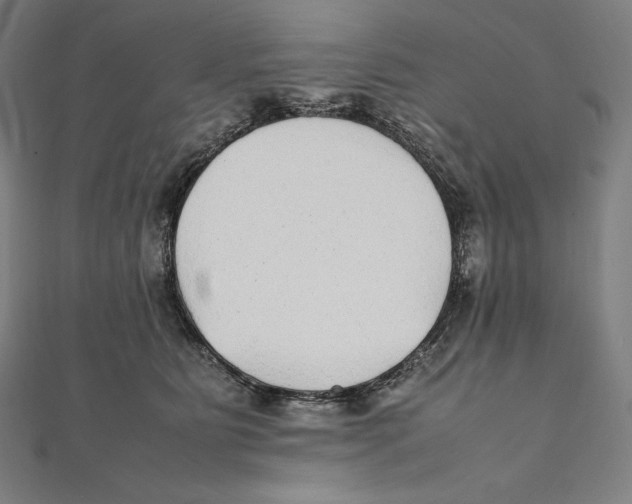 X0000112040515200908311238