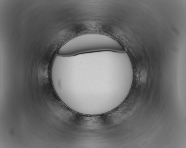 X0000112040516200908311238