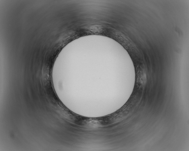 X0000112040518200908311238