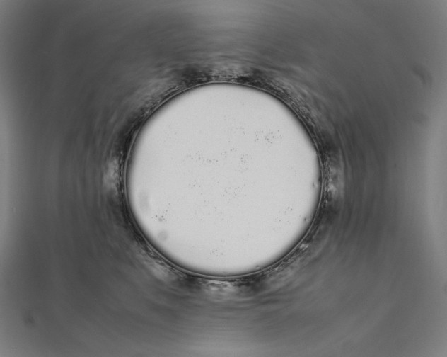 X0000112040519200908311238