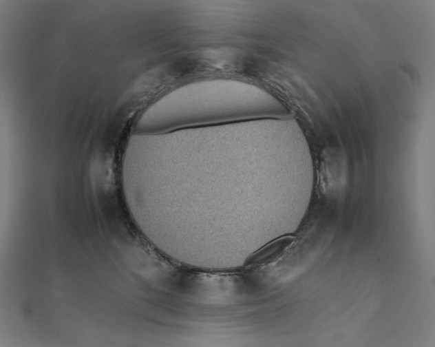 X0000112040520200908311238