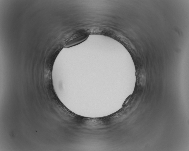 X0000112040521200908311238