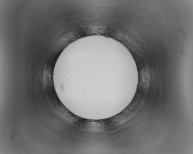 X0000112040522200908311238