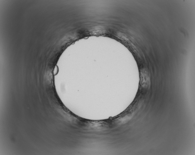 X0000112040523200908311238