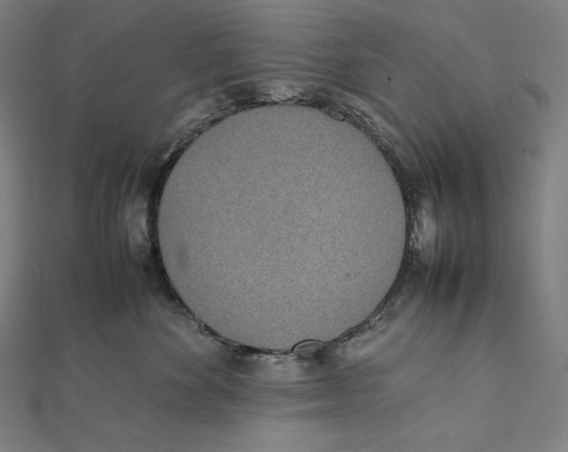 X0000112040524200908311238