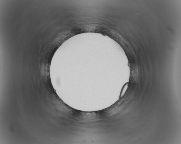 X0000112040525200908311238