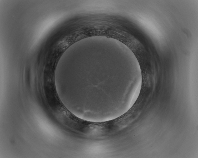 X0000112040526200908311238
