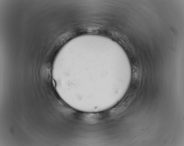 X0000112040527200908311238