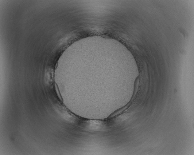 X0000112040528200908311238