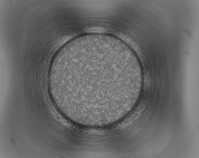 X0000112040529200908311238