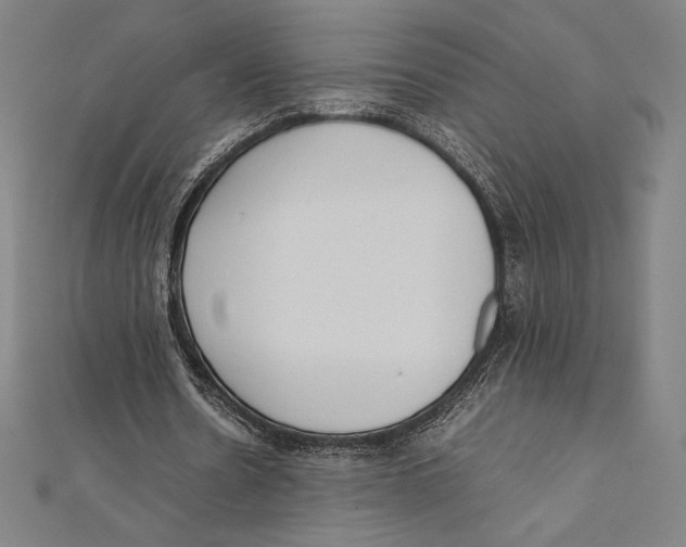 X0000112040530200908311238