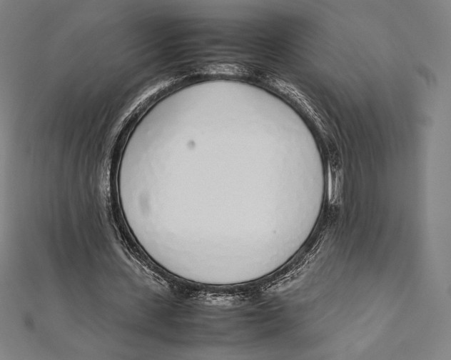 X0000112040531200908311238
