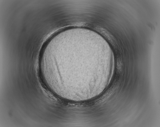 X0000112040532200908311238