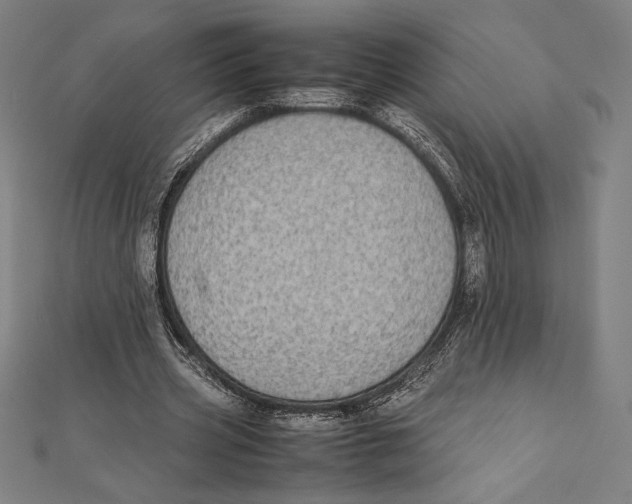 X0000112040533200908311238