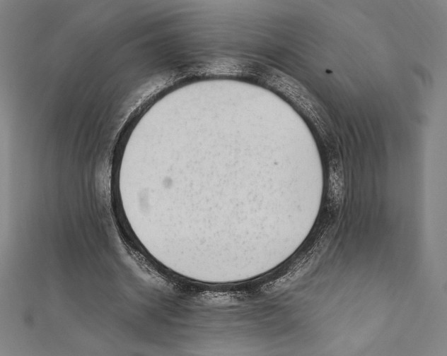X0000112040534200908311238