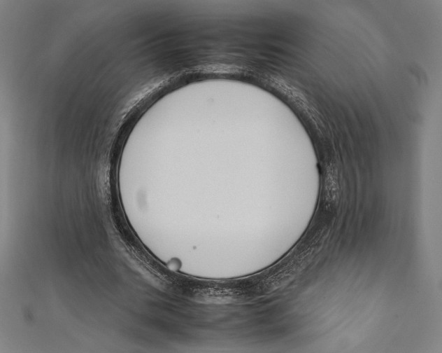 X0000112040535200908311238
