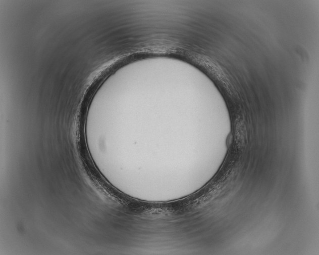 X0000112040536200908311238