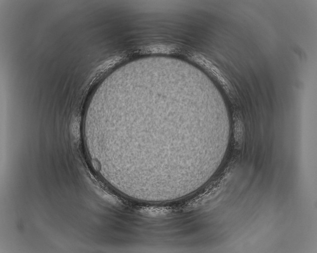 X0000112040537200908311238