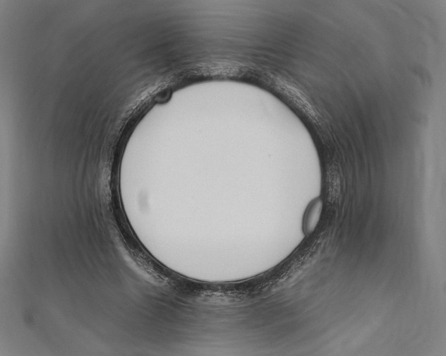 X0000112040538200908311238
