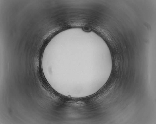 X0000112040539200908311238