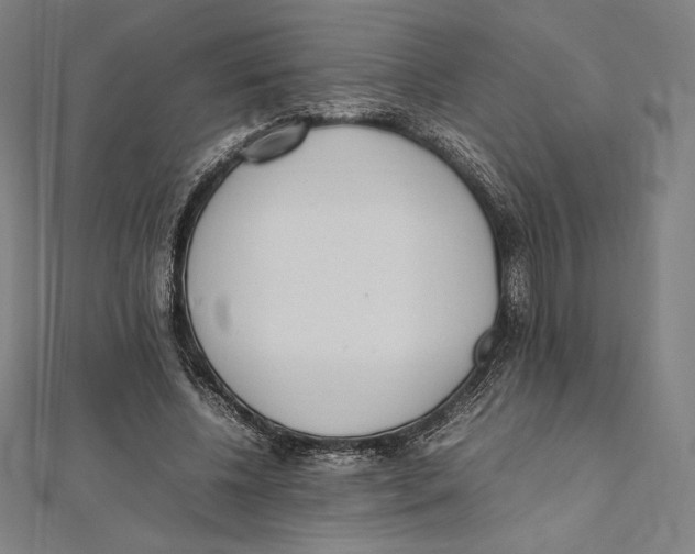 X0000112040540200908311238