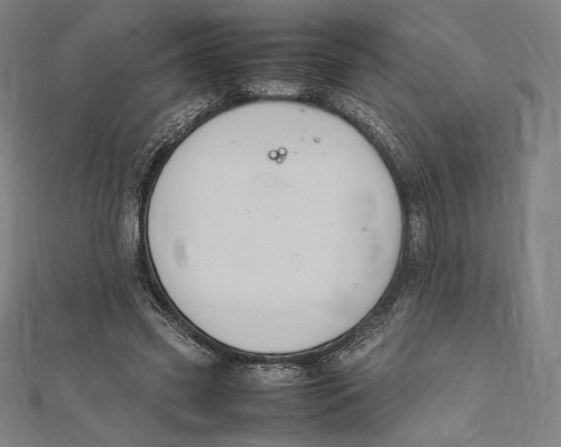 X0000112040541200908311238