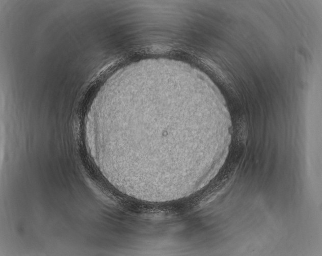 X0000112040542200908311238