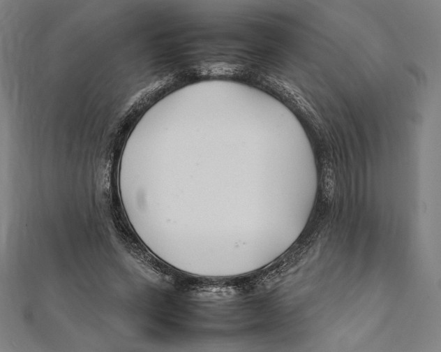 X0000112040543200908311238