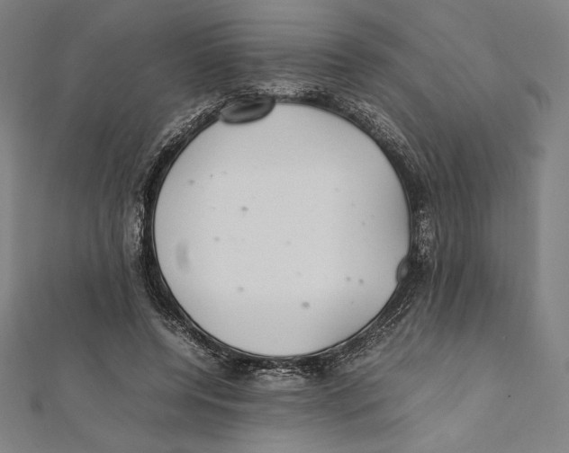 X0000112040544200908311238