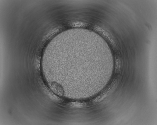 X0000112040545200908311238