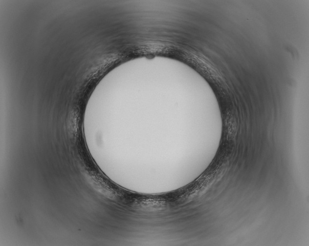 X0000112040546200908311238