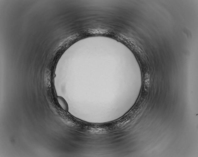 X0000112040547200908311238